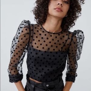ZARA Black Polka Dot Crop Top Blogger Fave